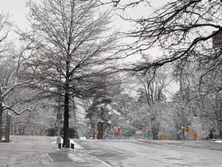 WebCAM de Sweet_Dreamzz212