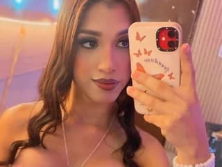 WebCAM of thepalacepowerfull